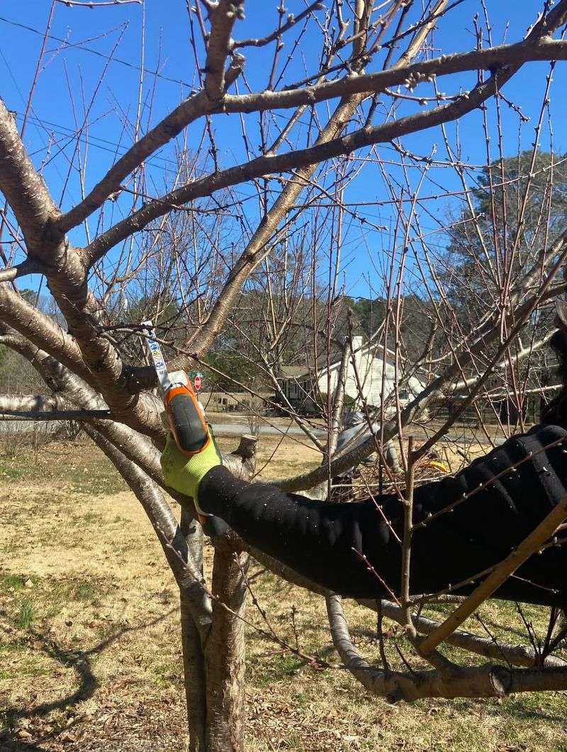 Avoid Heavy Pruning During The Recovery Period