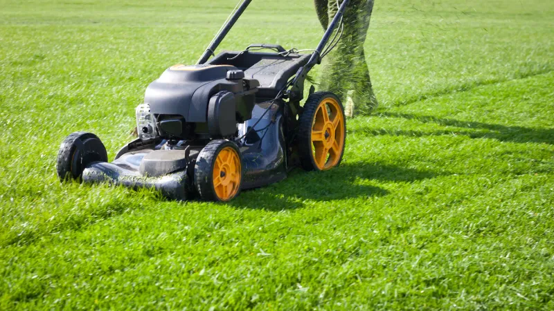 Avoid Mowing Too Short