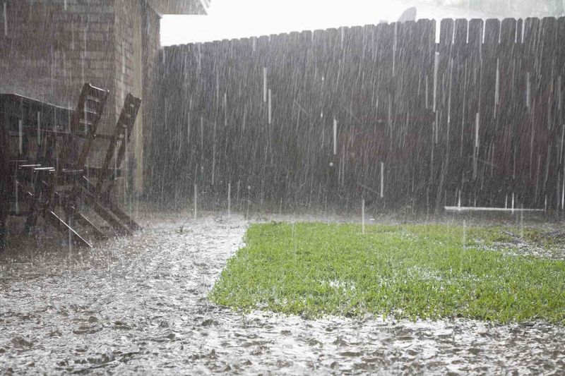 Avoid Overseeding Right Before Heavy Rain Avoid Overseeding Right Before Heavy Rain