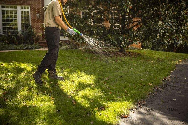 Avoid Soaking Shady Lawn Edges Too Often Avoid Soaking Shady Lawn Edges Too Often