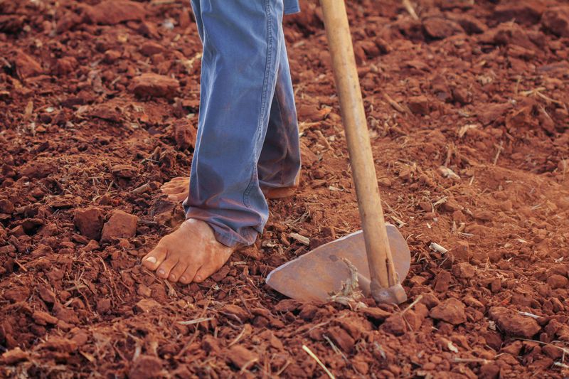Avoid Tilling Wet Clay
