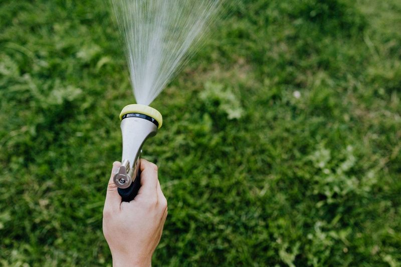 Avoid Watering During The Hottest Part Of The Day
