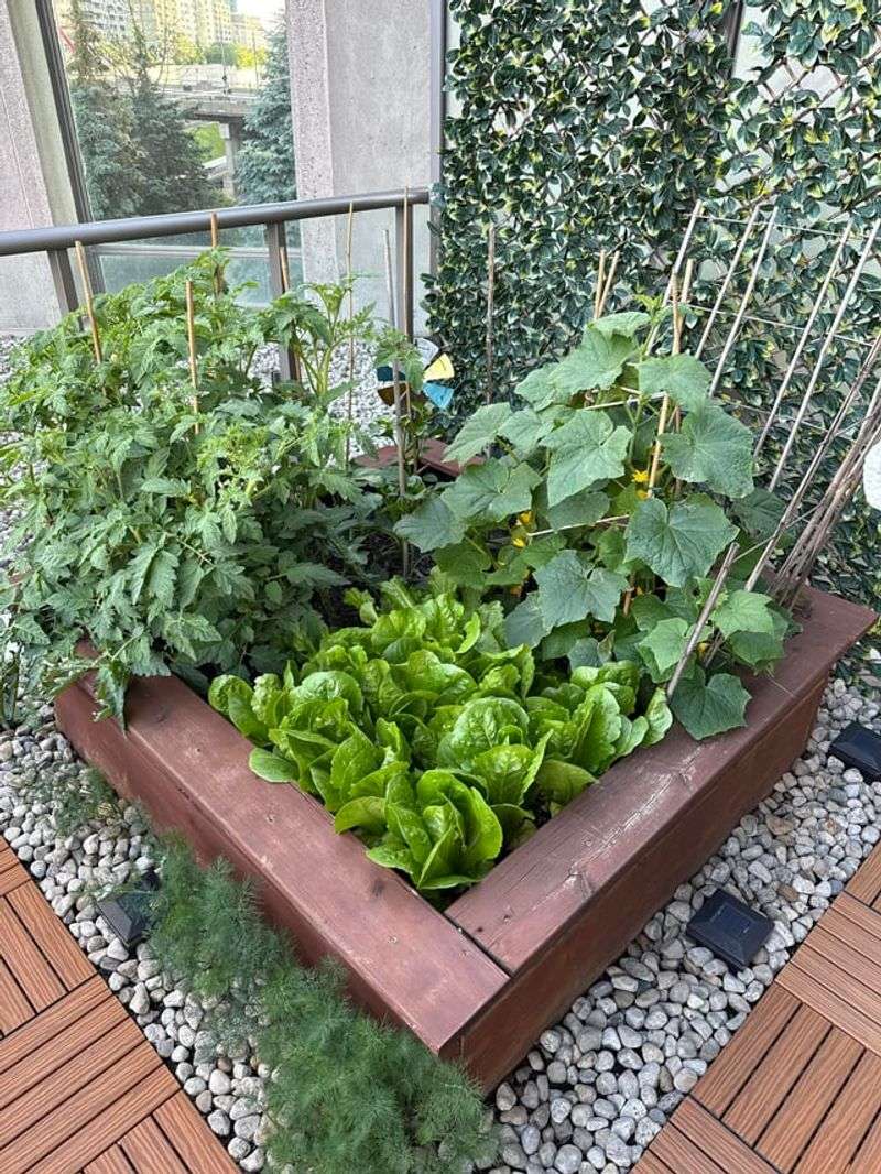 Backyard Food Gardens Have Legal Protection
