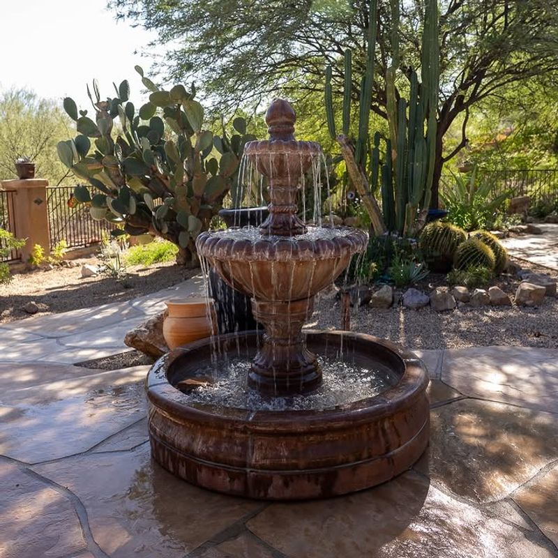 Backyard Water Features Attract Flying Insects