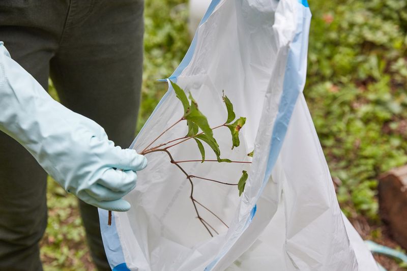 Bag Plant Pieces Instead Of Composting Bag Plant Pieces Instead Of Composting