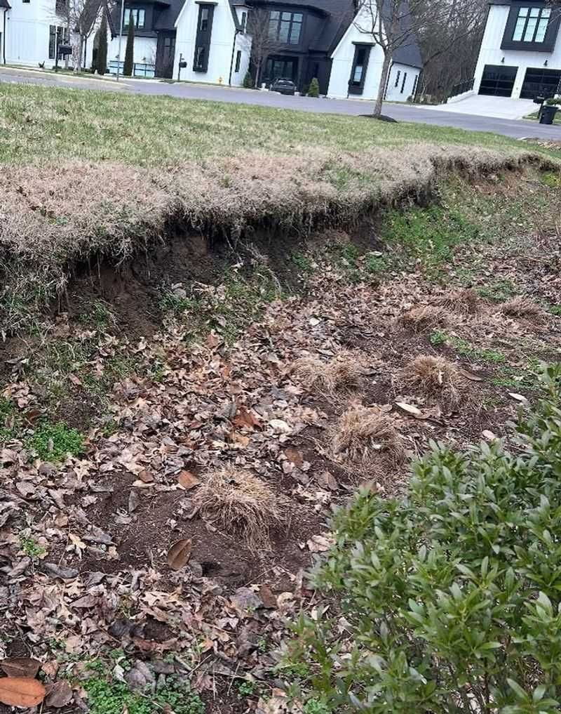 Bare Soil Lets Rain Move Fast