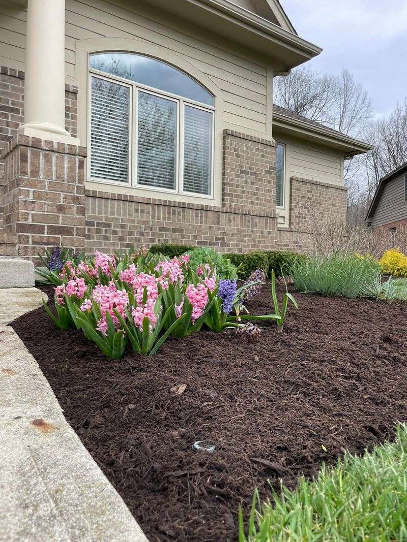 Bare Soil Makes Every Watering Less Efficient Bare Soil Makes Every Watering Less Efficient
