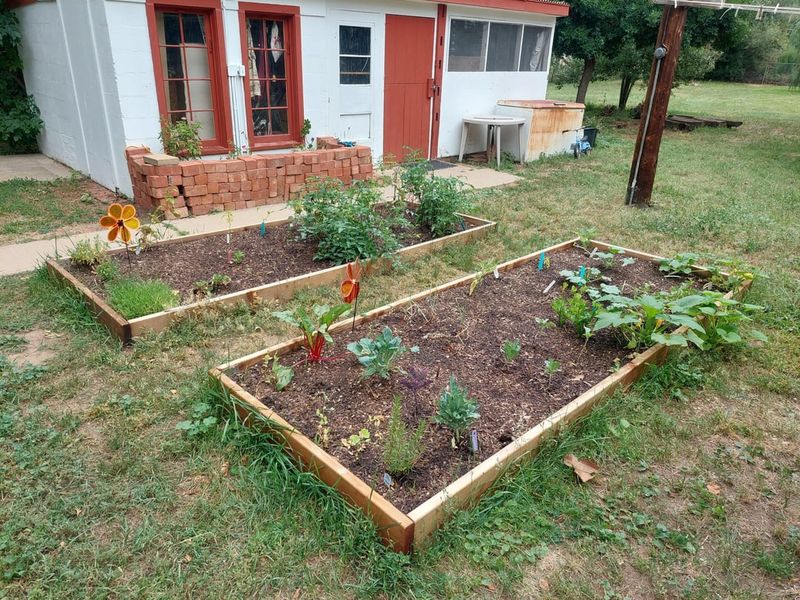 Beds Improve With Each New Layer