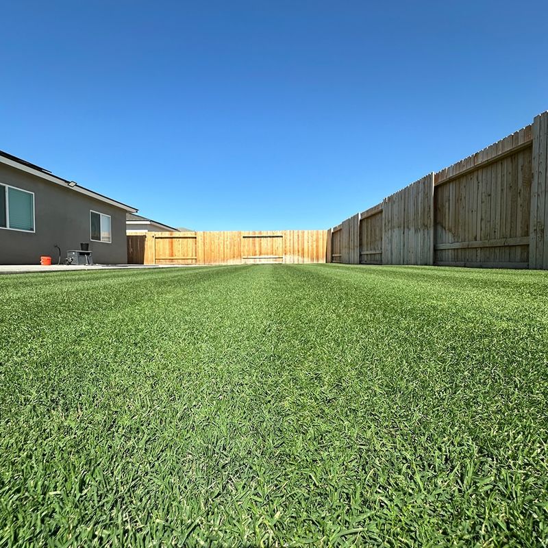 Bermudagrass Maintains Growth During Hot Weather