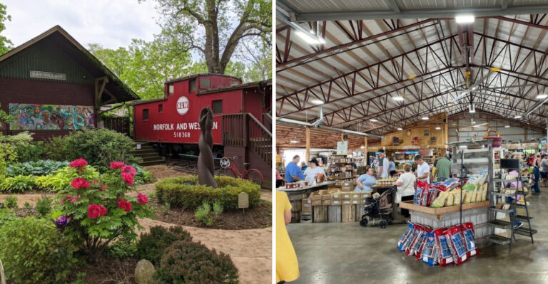 farmer market
