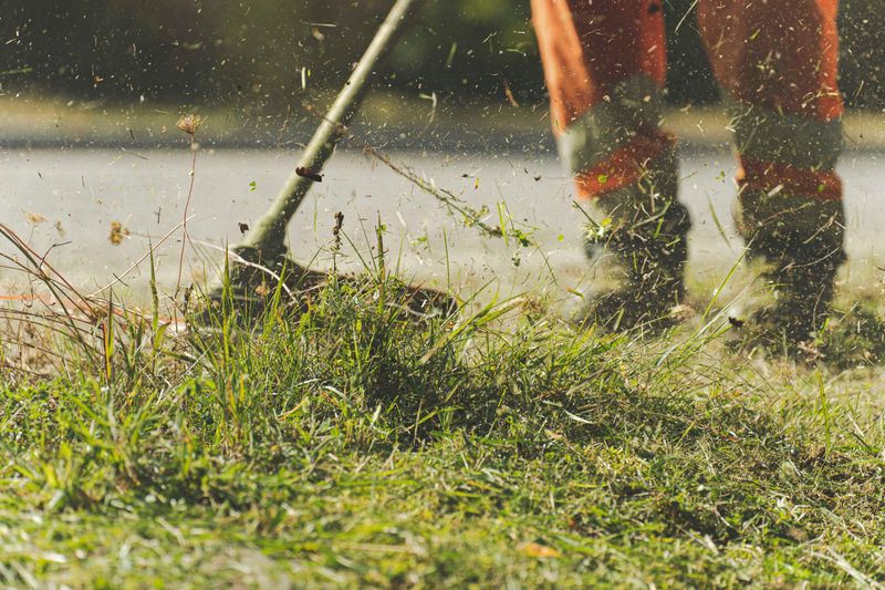 Best Mowing Height For Minnesota Cool-Season Grasses Best Mowing Height For Minnesota Cool-Season Grasses
