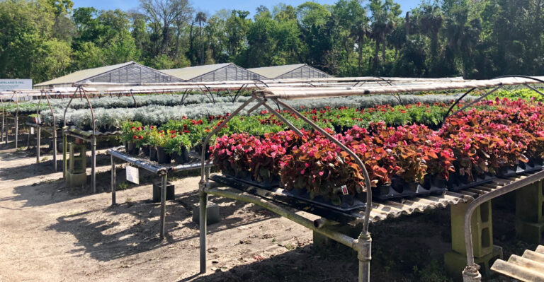 nursery