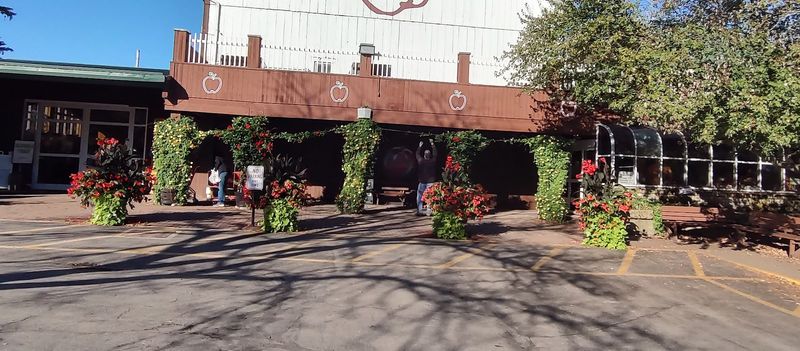 Best Pick-Your-Own Berry Farms In Ohio Open Right Now In June
