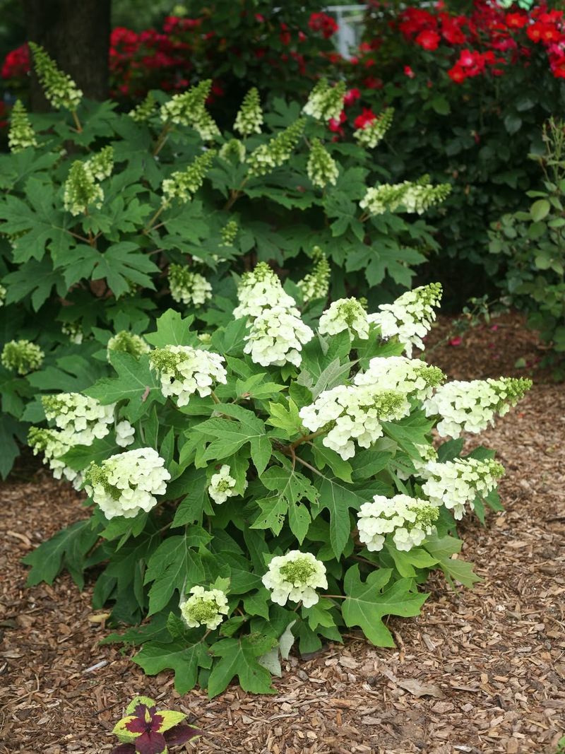 Best Time Of Year To Plant