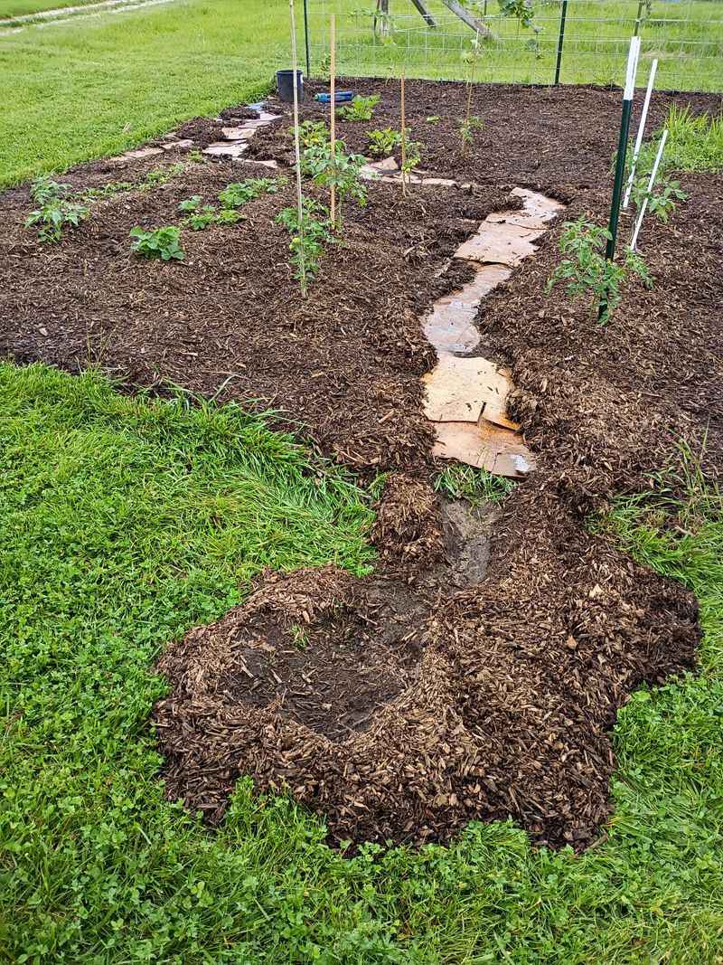 Better Drainage Prevents Winter Rot Better Drainage Prevents Winter Rot