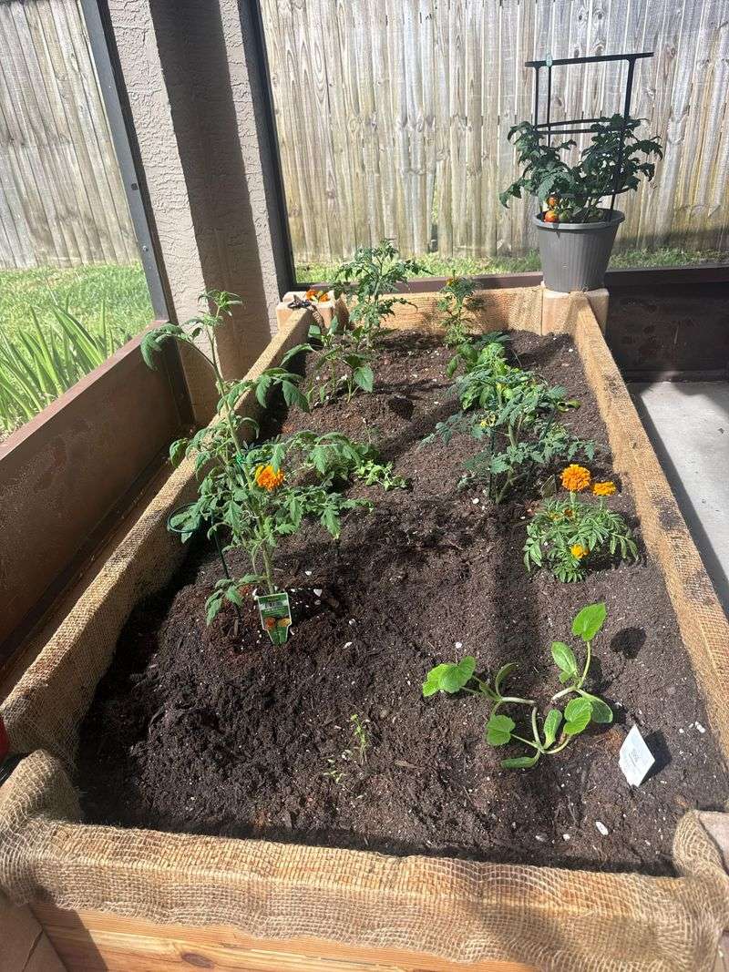 Better Soil Starts Before The Next Plant Goes In