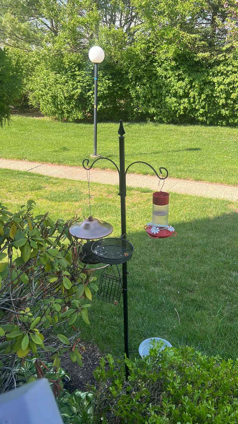 Bird Feeders, Woodpiles, And Wildlife Feeding Areas