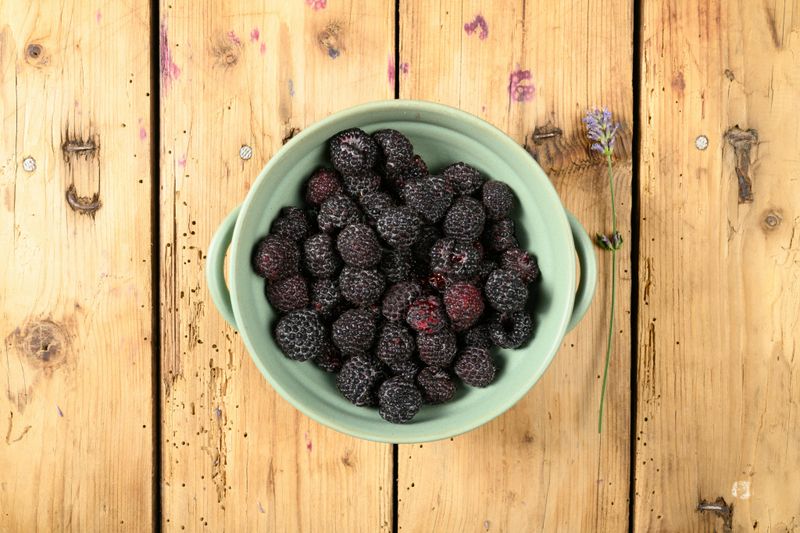 Black Raspberries Black Raspberries