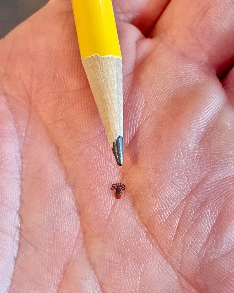 Blacklegged Ticks Are Expanding Their Range Blacklegged Ticks Are Expanding Their Range