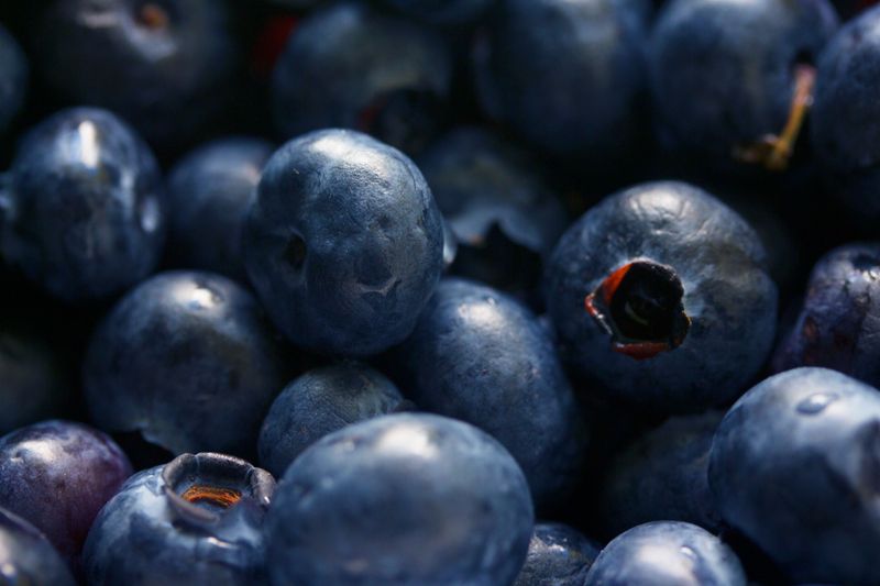 Blueberries Blueberries