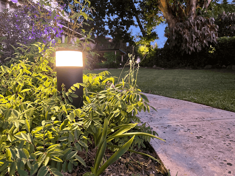 Bright White Bulbs Draw More Flying Insects