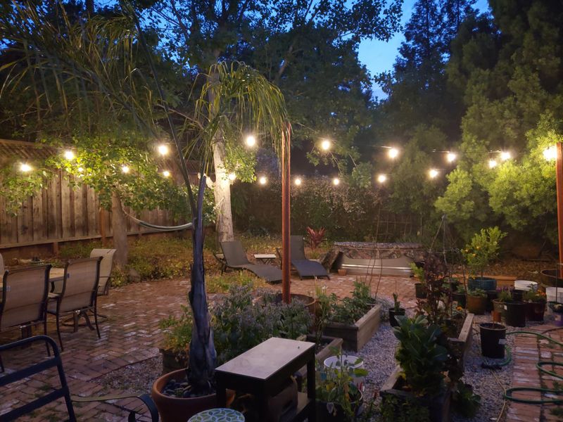 Bright Yard Lights Can Disrupt Courtship Signals Bright Yard Lights Can Disrupt Courtship Signals