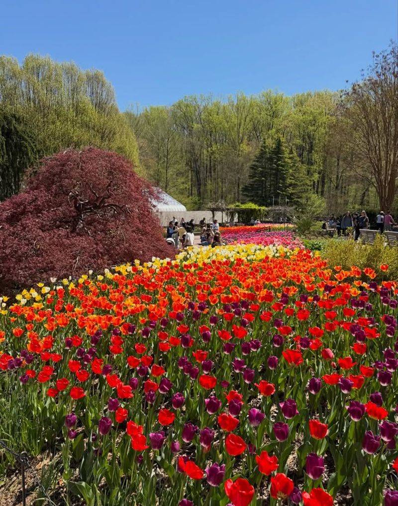 Brookside Gardens