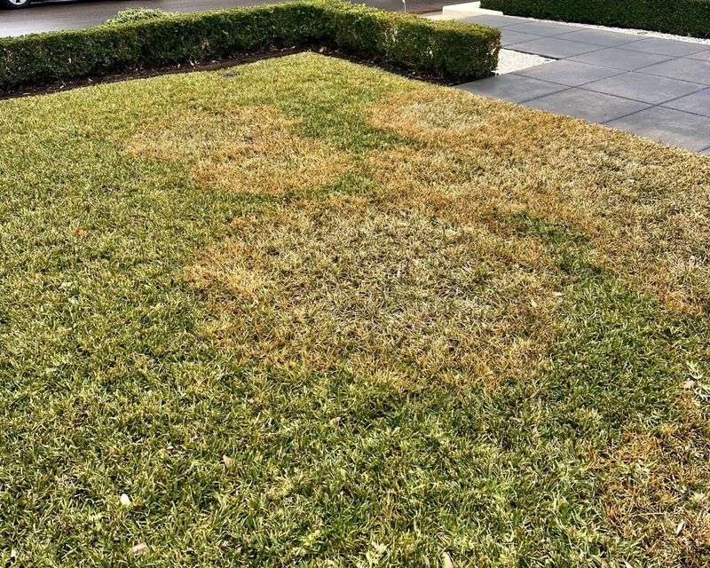 Brown Lawns During Drought Emergencies Are Treated Differently