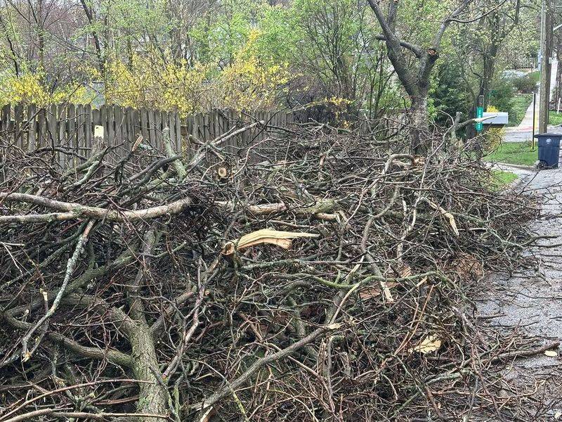 Brush Piles Can Create Shelter Near The Yard