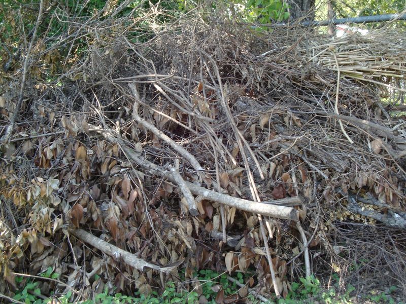 Brushy Covers Near The Yard Brushy Covers Near The Yard