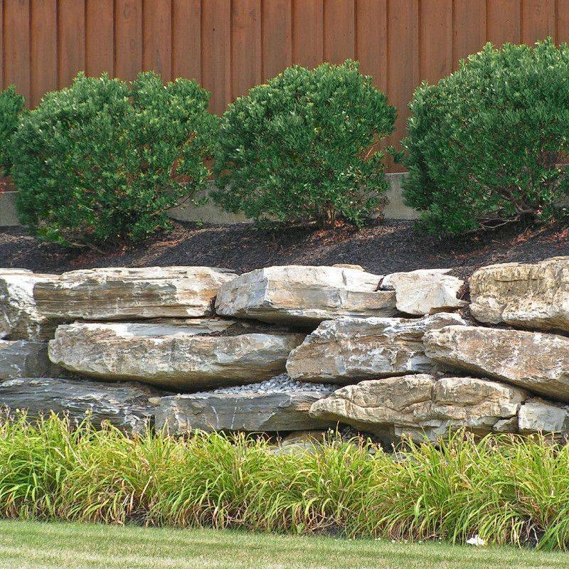 Build A Softer Native Evergreen Foundation Planting Build A Softer Native Evergreen Foundation Planting