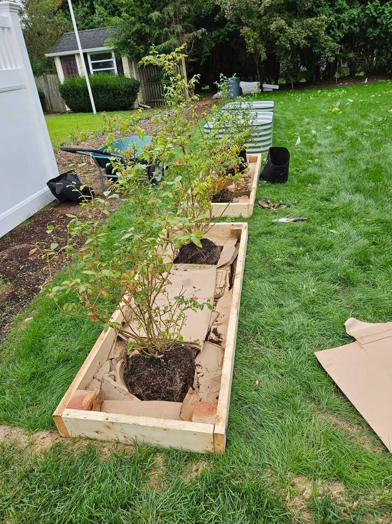 Build Raised Beds In Heavy Soil Build Raised Beds In Heavy Soil