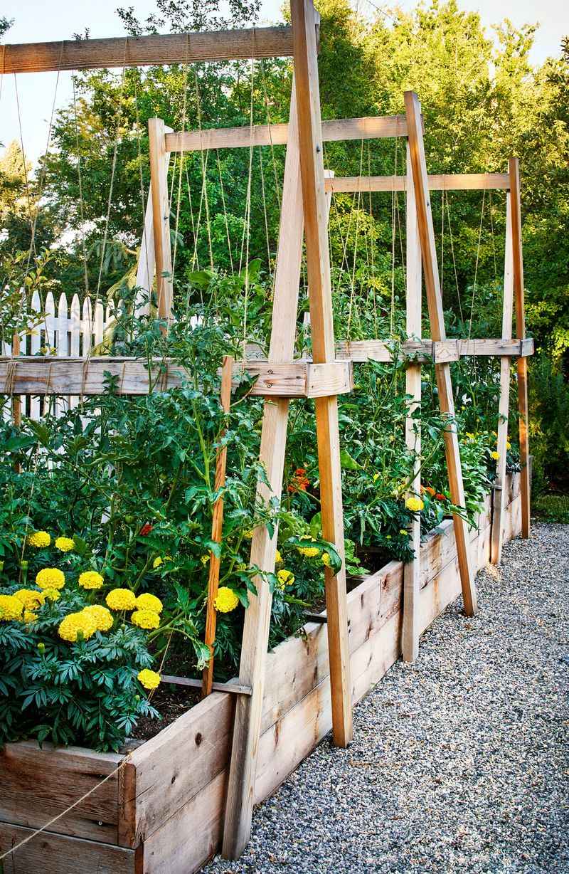 Build Trellises Before Vines Sprawl