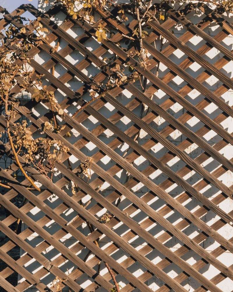 Build Windbreaks From Burlap Or Lattice Build Windbreaks From Burlap Or Lattice