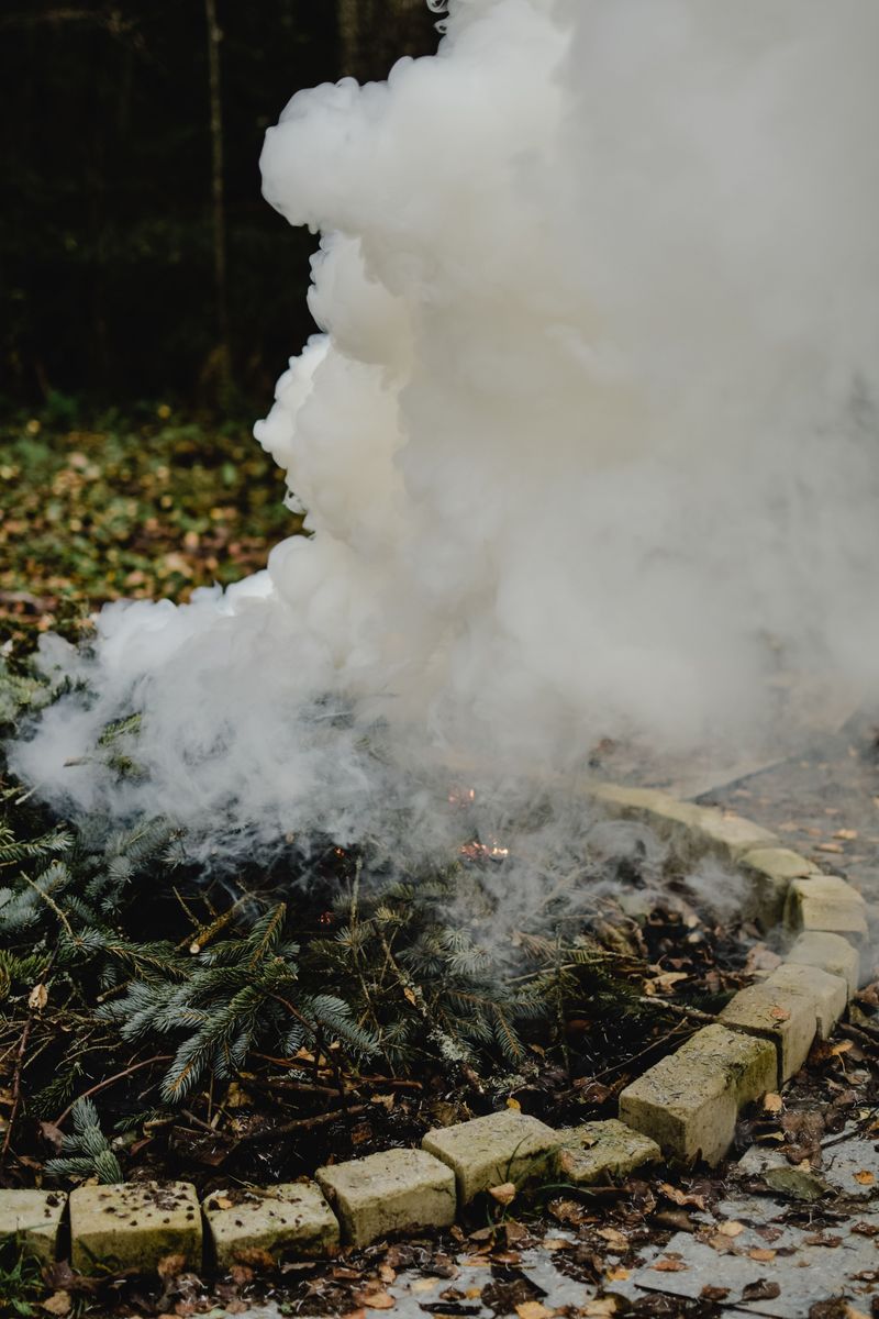 Burning Its Branches Releases Toxic Smoke Into The Air Burning Its Branches Releases Toxic Smoke Into The Air