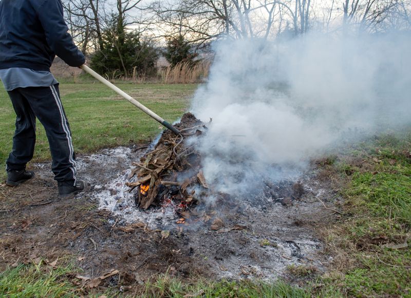 Burning Oleander Clippings Is A Dangerous Mistake