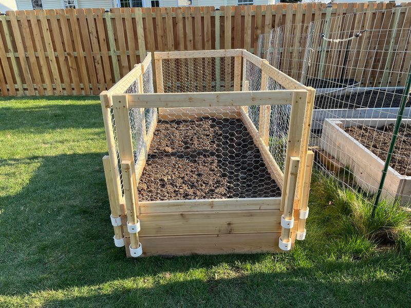 Bury Wire Mesh 2 Feet Deep Around Garden Beds Bury Wire Mesh 2 Feet Deep Around Garden Beds
