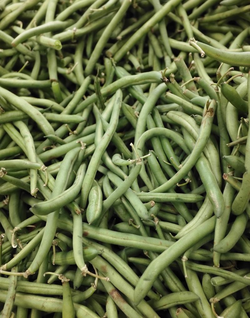 Bush Beans