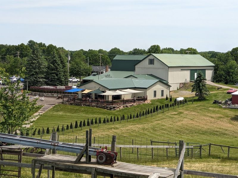 Celebrate Lavender Season At Maize Valley Lavender Festival