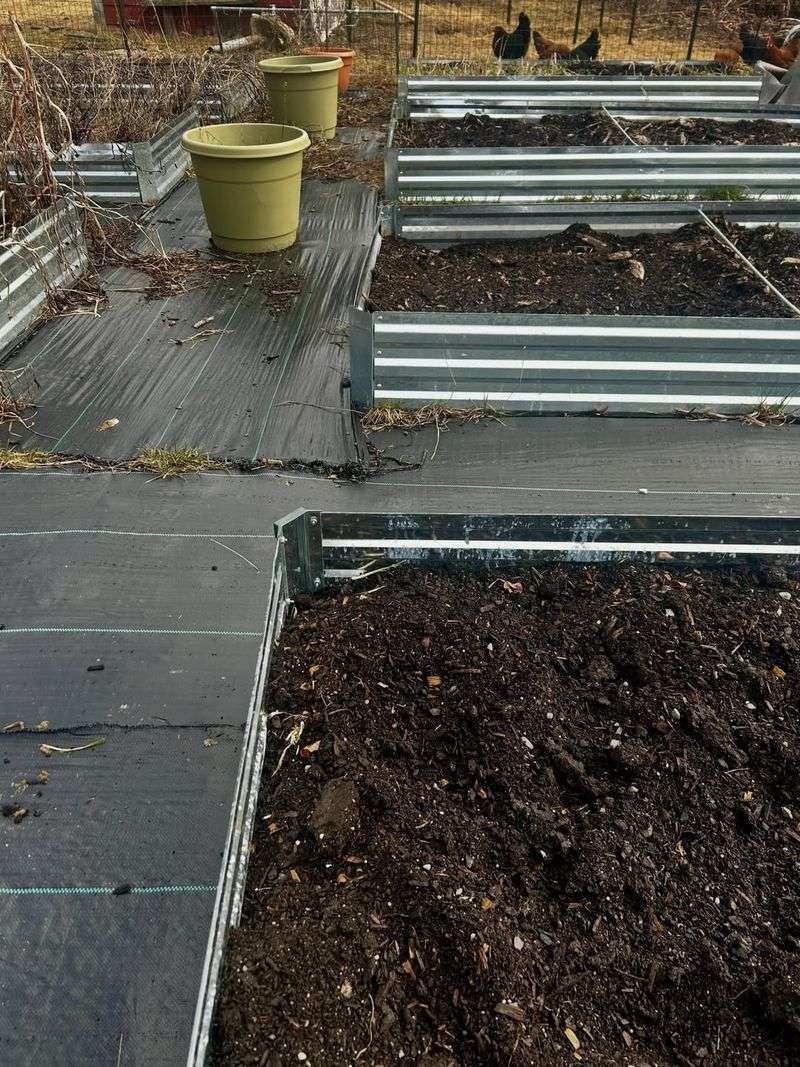 Chaos Gardening Still Starts With Site Prep