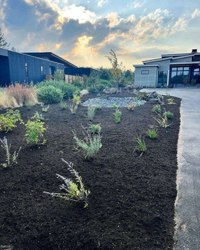 Check Beneath Mulch For Excess Moisture
