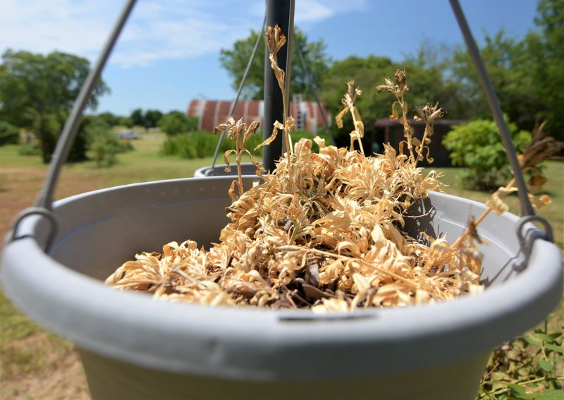 Check Containers Before They Dry Out Completely