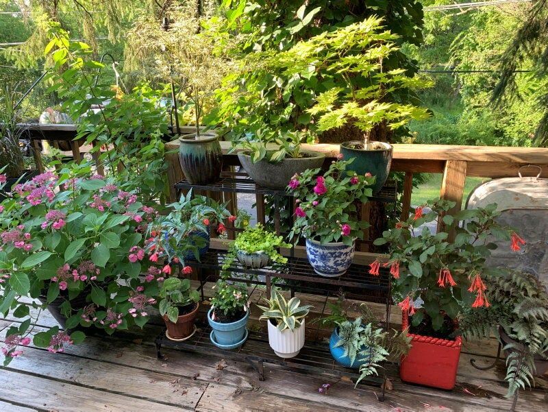 Check Containers Before They Dry Too Far