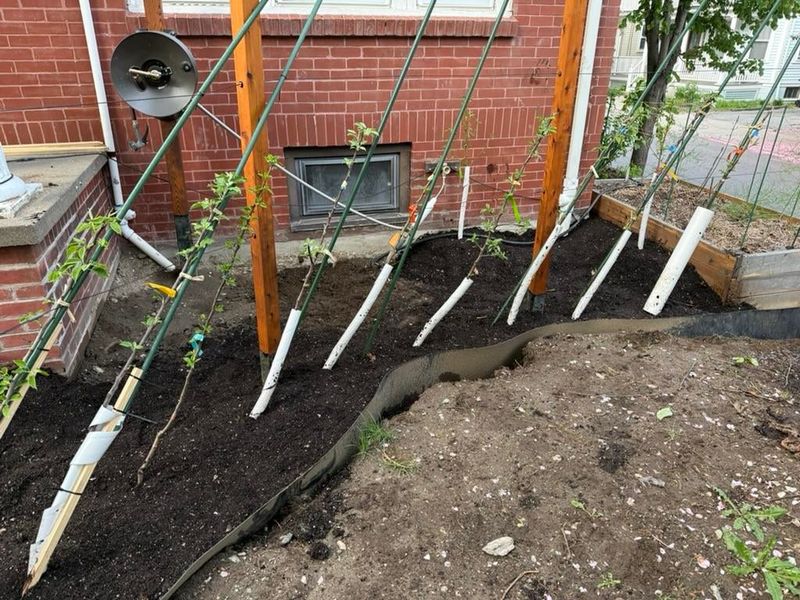 Check Drip Lines Before Storms Arrive Check Drip Lines Before Storms Arrive