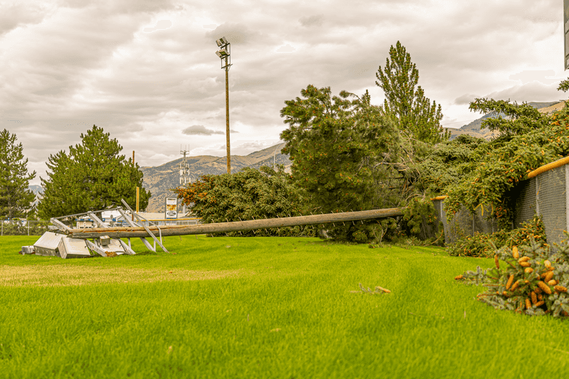 Check For Downed Power Lines Before Touching Anything Check For Downed Power Lines Before Touching Anything
