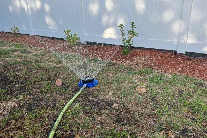 Check Irrigation Coverage For Dry Spots