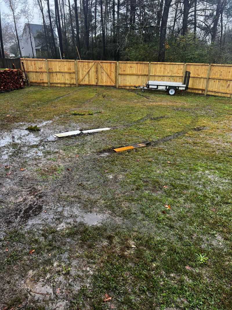 Check Low Areas Where Water Collects After Rain