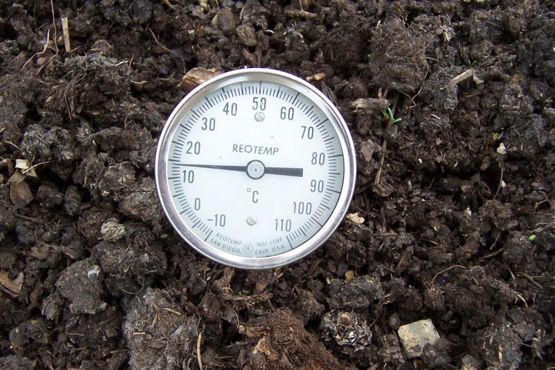 Check Moisture Levels Every Few Days Check Moisture Levels Every Few Days