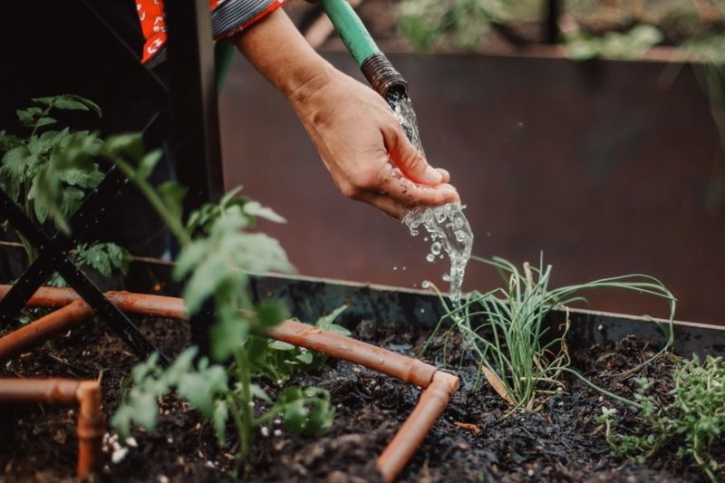 Check Soil Before Adding More Water Check Soil Before Adding More Water