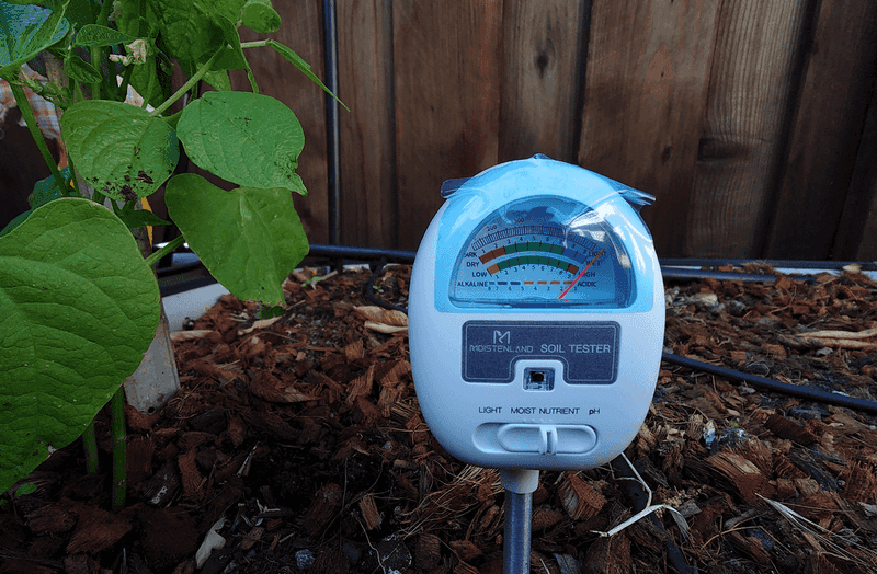 Check Soil Before Grabbing The Hose